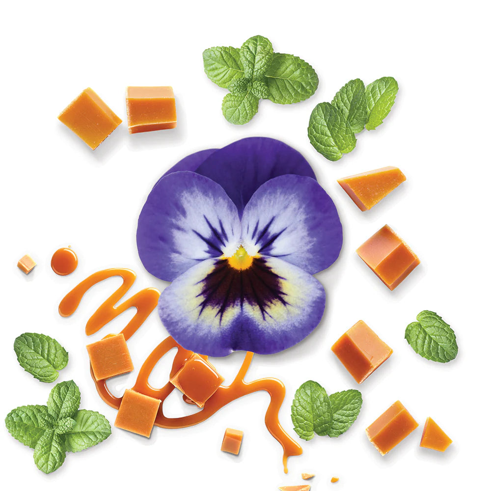 IN BLACK EAU DE PARFUM 100 ML