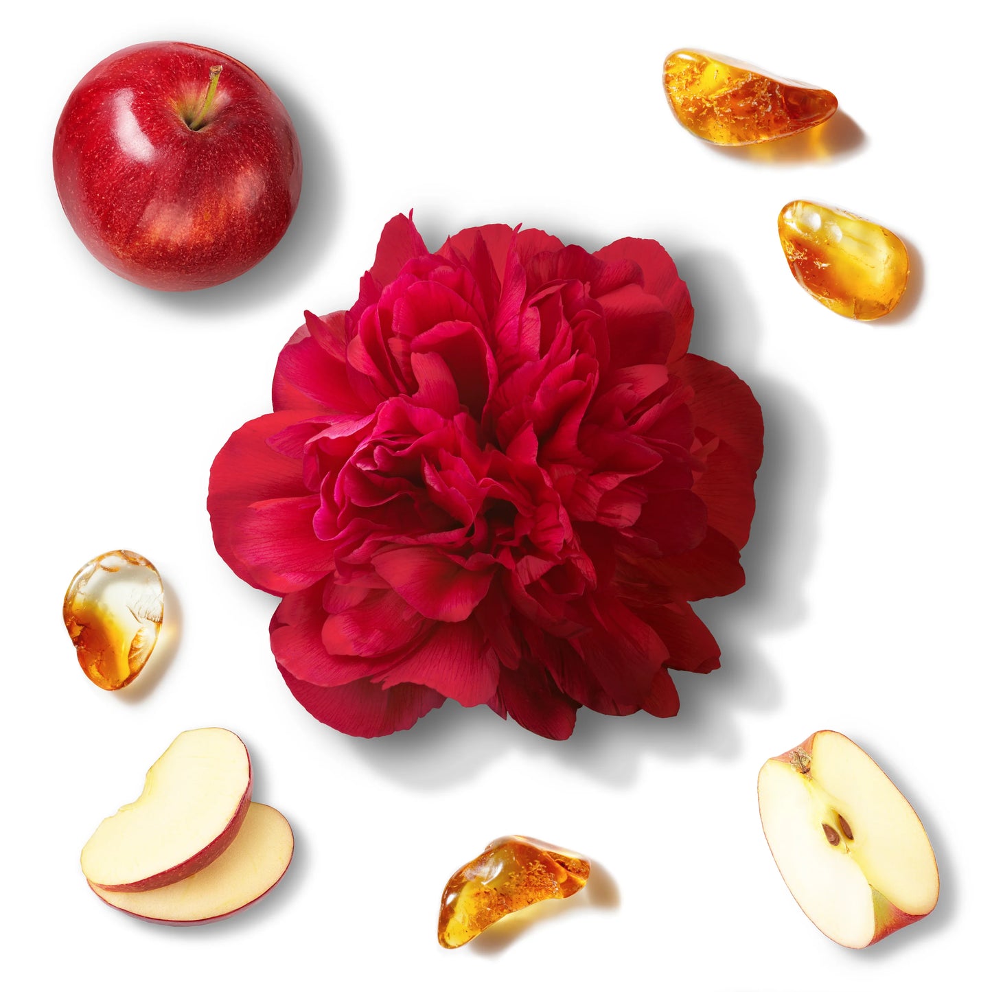 IN RED COFFRET PRESTIGE