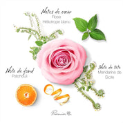 Coffret Prestige PRIMISE ME